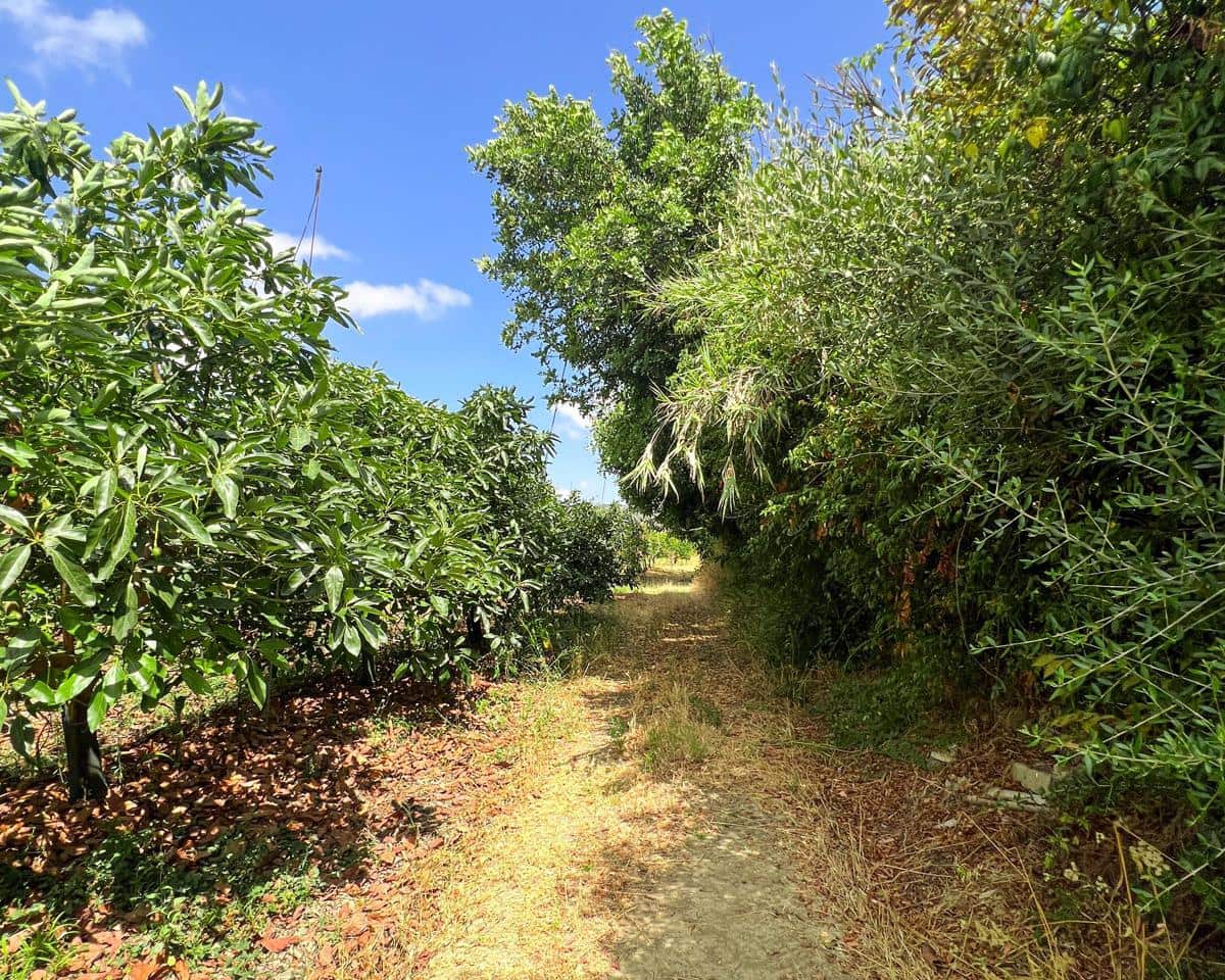 Grunde uden byggetilladelser til salg i San Martin del Tesorillo - € 850.000 (Ref: 9116548)