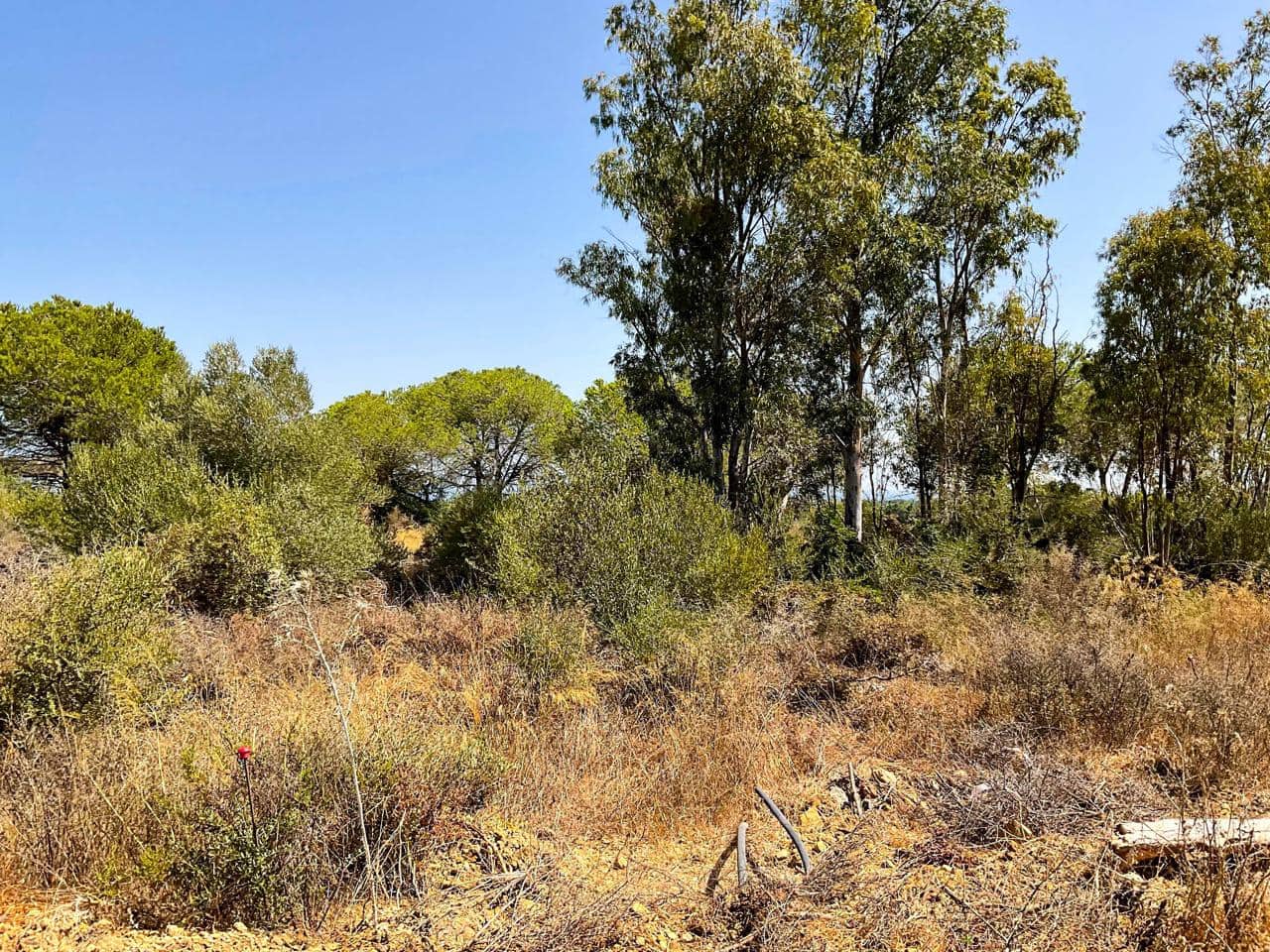 Grunde uden byggetilladelser til salg i Sotogrande - € 920.000 (Ref: 9143321)