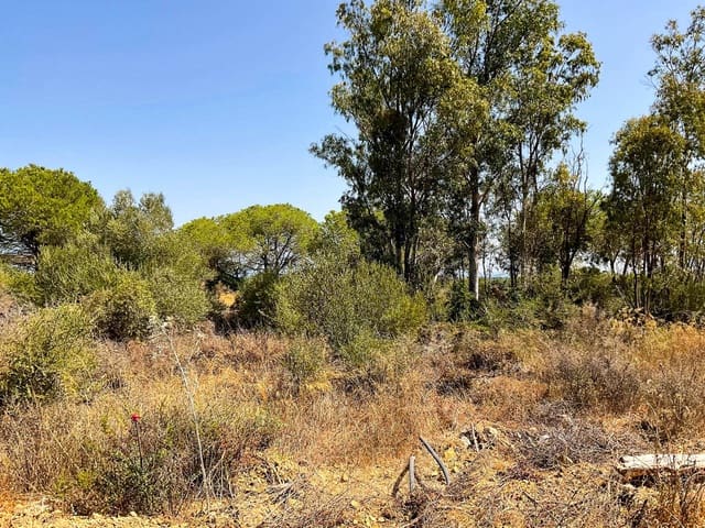 Terreno Não Urbanizado para venda em Sotogrande Alto, San Roque - 920 000 € (Ref: 9143321)