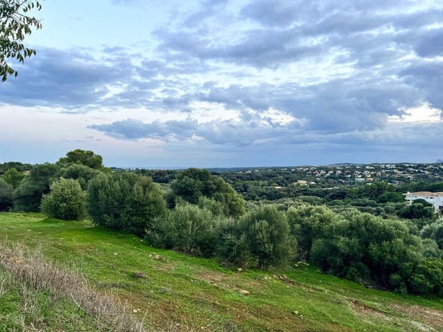 Terreno Non Edificato in vendita in Sotogrande Alto, San Roque - 850.000 € (Rif: 9511239)