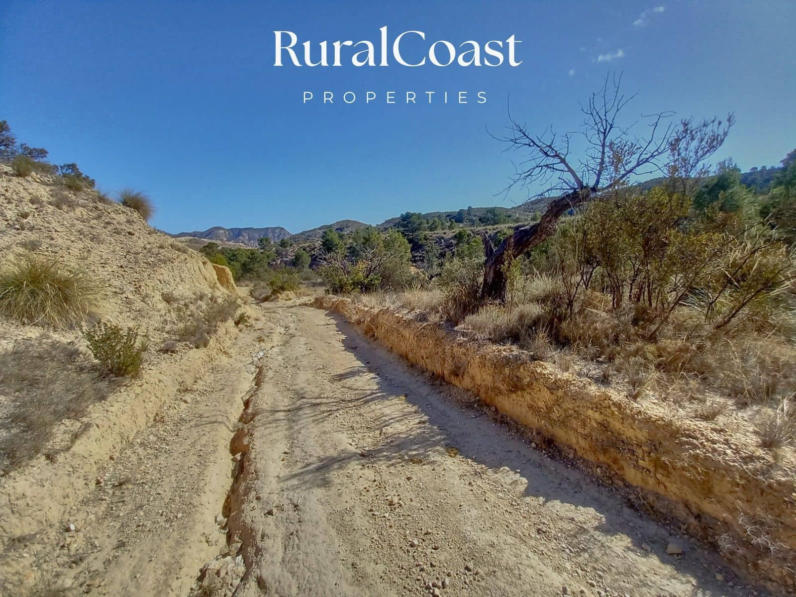 Byggegrund til salg i Jijona / Xixona - € 180.000 (Ref: 8321344)