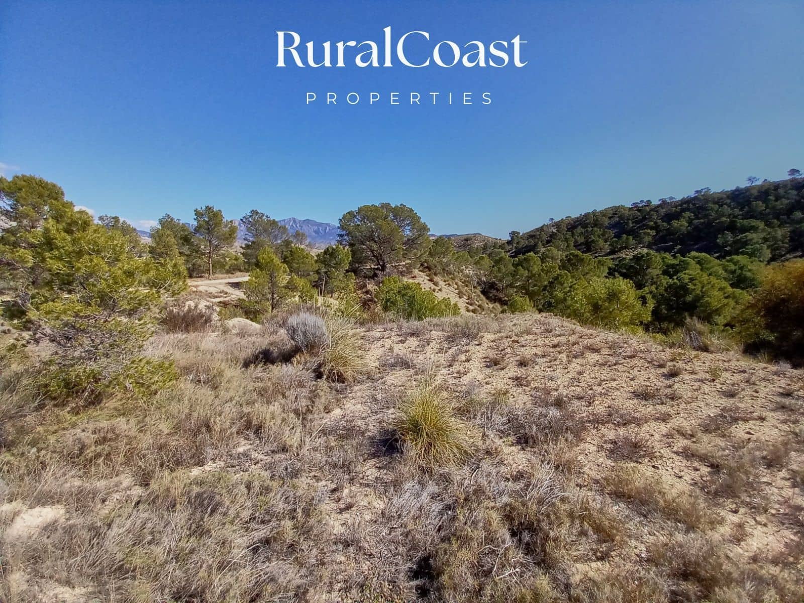 Byggegrund til salg i Jijona / Xixona - € 180.000 (Ref: 8321344)