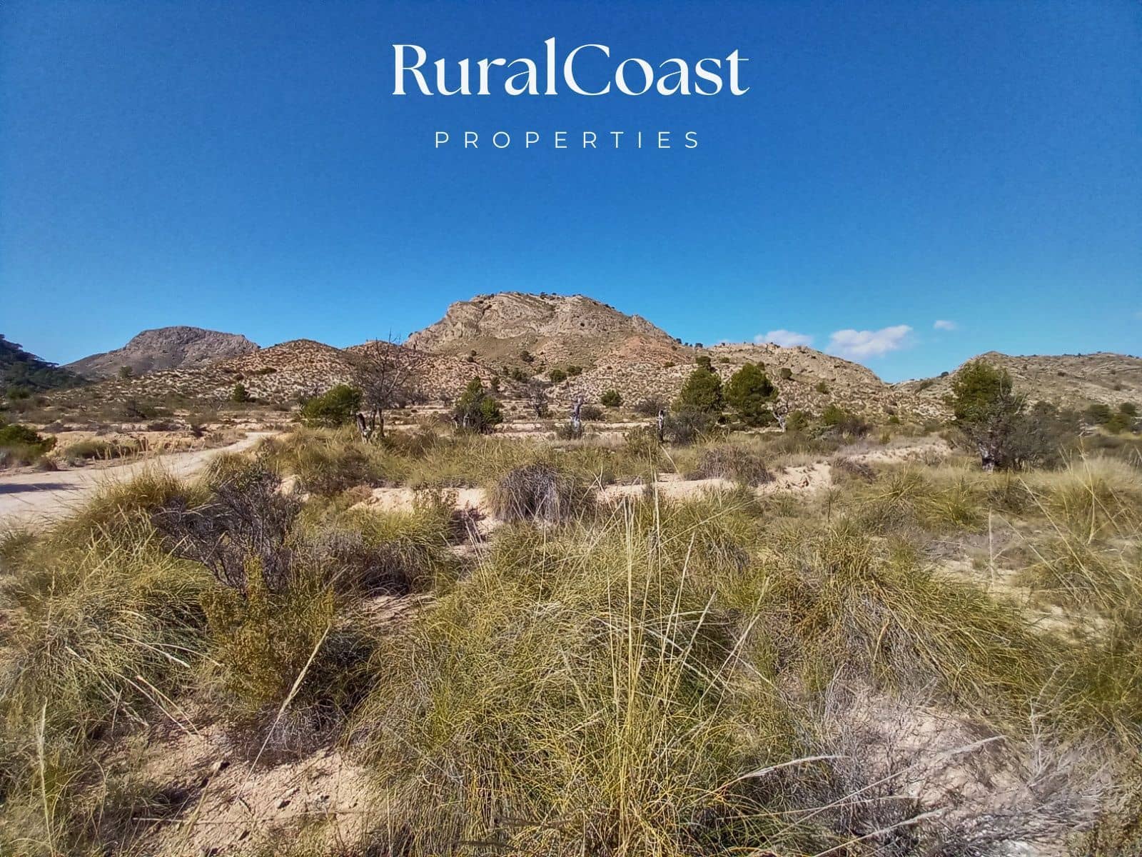 Byggegrund til salg i Jijona / Xixona - € 180.000 (Ref: 8321344)