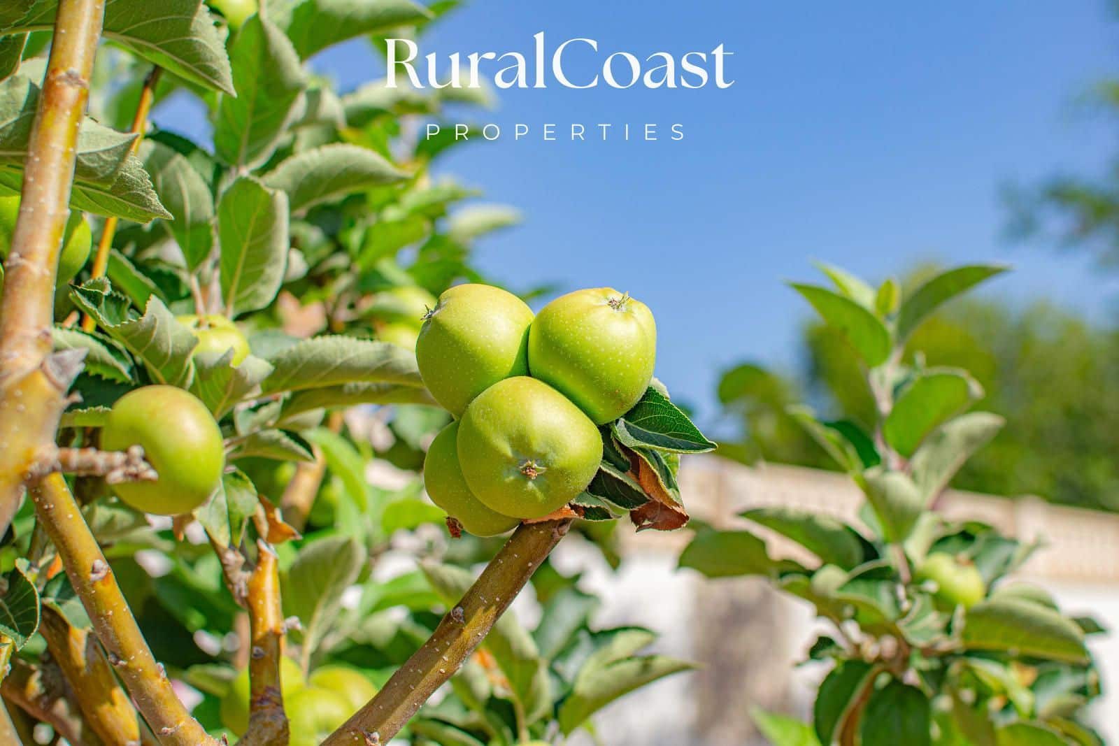 3 soverom Villa til salgs i Busot med svømmebasseng garasje - € 380 000 (Ref: 8422687)