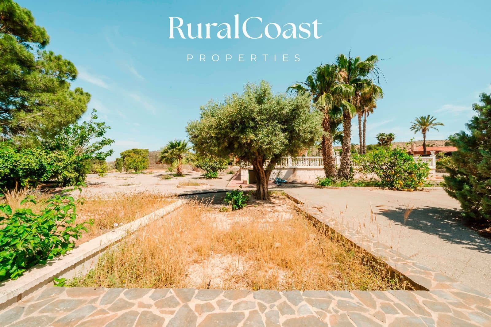 5 soveværelse Villa til salg i Elche / Elx med swimmingpool garage - € 492.000 (Ref: 9006543)