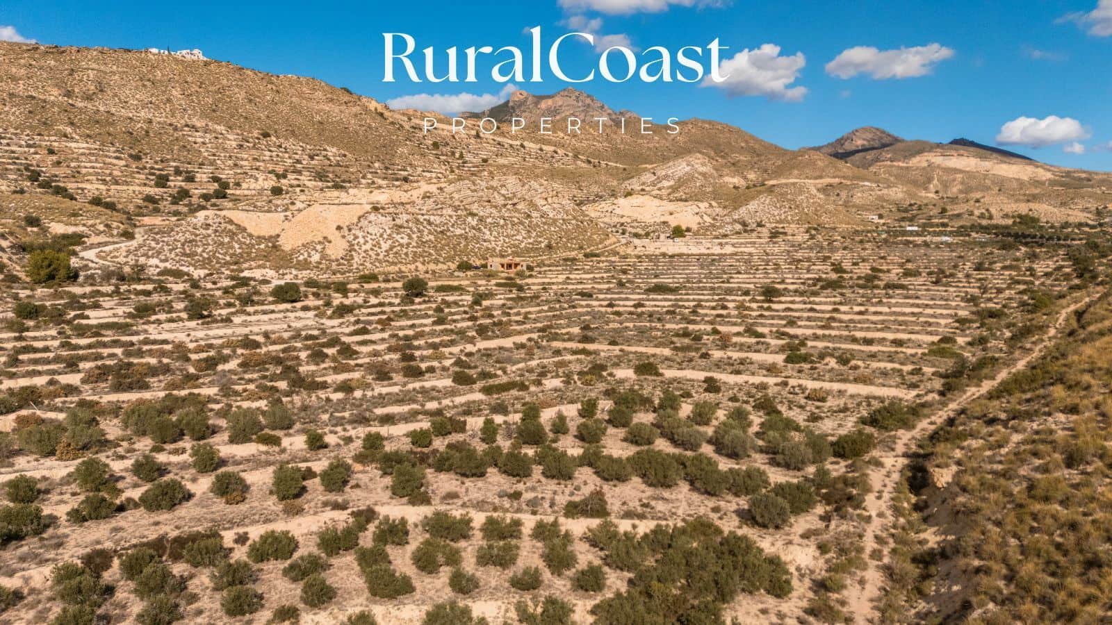 Tomt till salu i Busot - 159 000 € (Ref: 9419446)