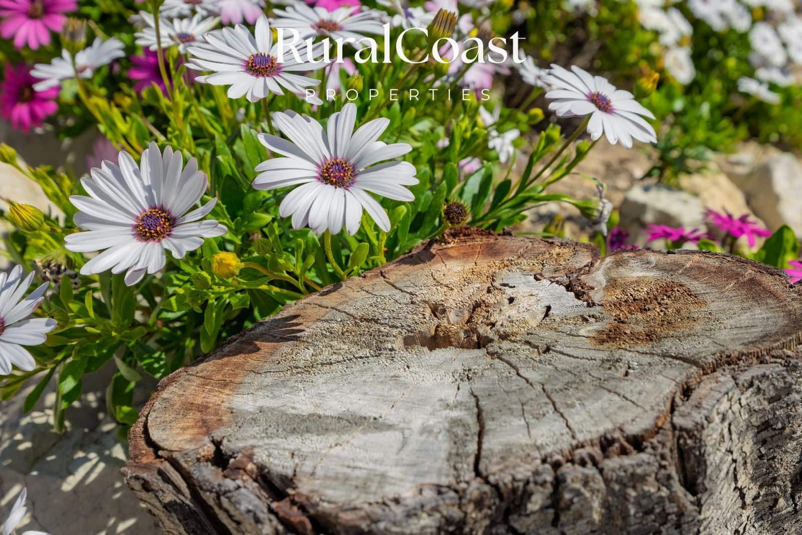 4 slaapkamer Villa te koop in Busot met zwembad - € 320.000 (Ref: 9753717)