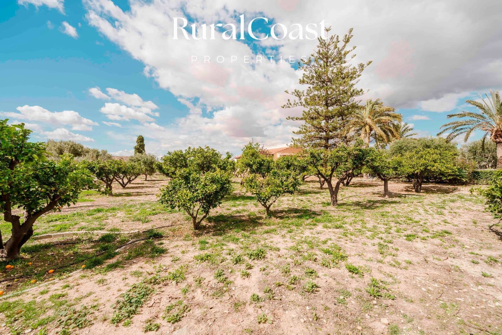 3 chambre Villa/Maison à vendre à Muchamiel / Mutxamel avec piscine garage - 350 000 € (Ref: 9778528)