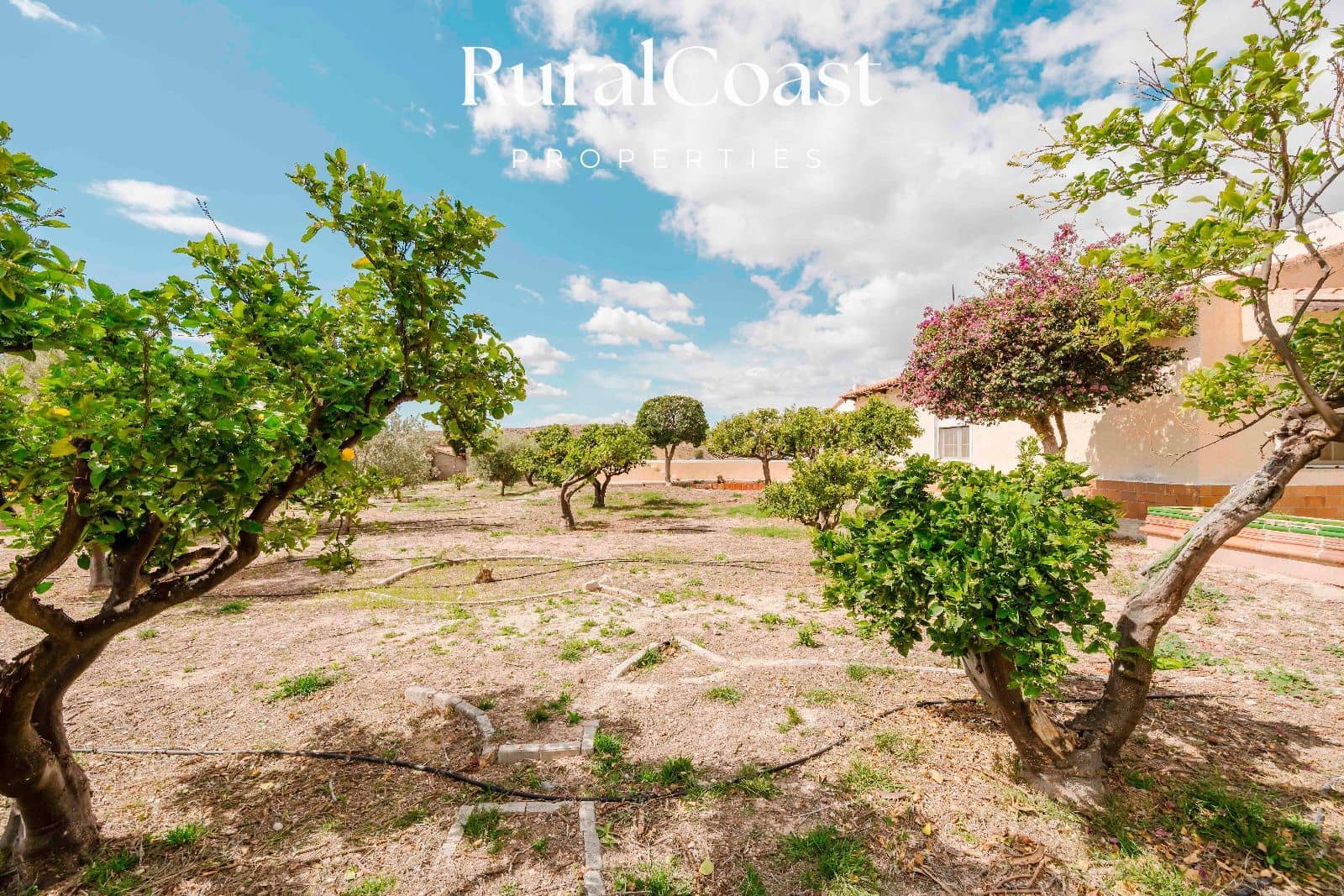 3 chambre Villa/Maison à vendre à Muchamiel / Mutxamel avec piscine garage - 350 000 € (Ref: 9778528)