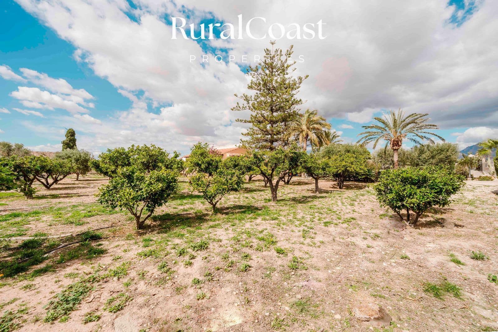 3 chambre Villa/Maison à vendre à Muchamiel / Mutxamel avec piscine garage - 350 000 € (Ref: 9778528)