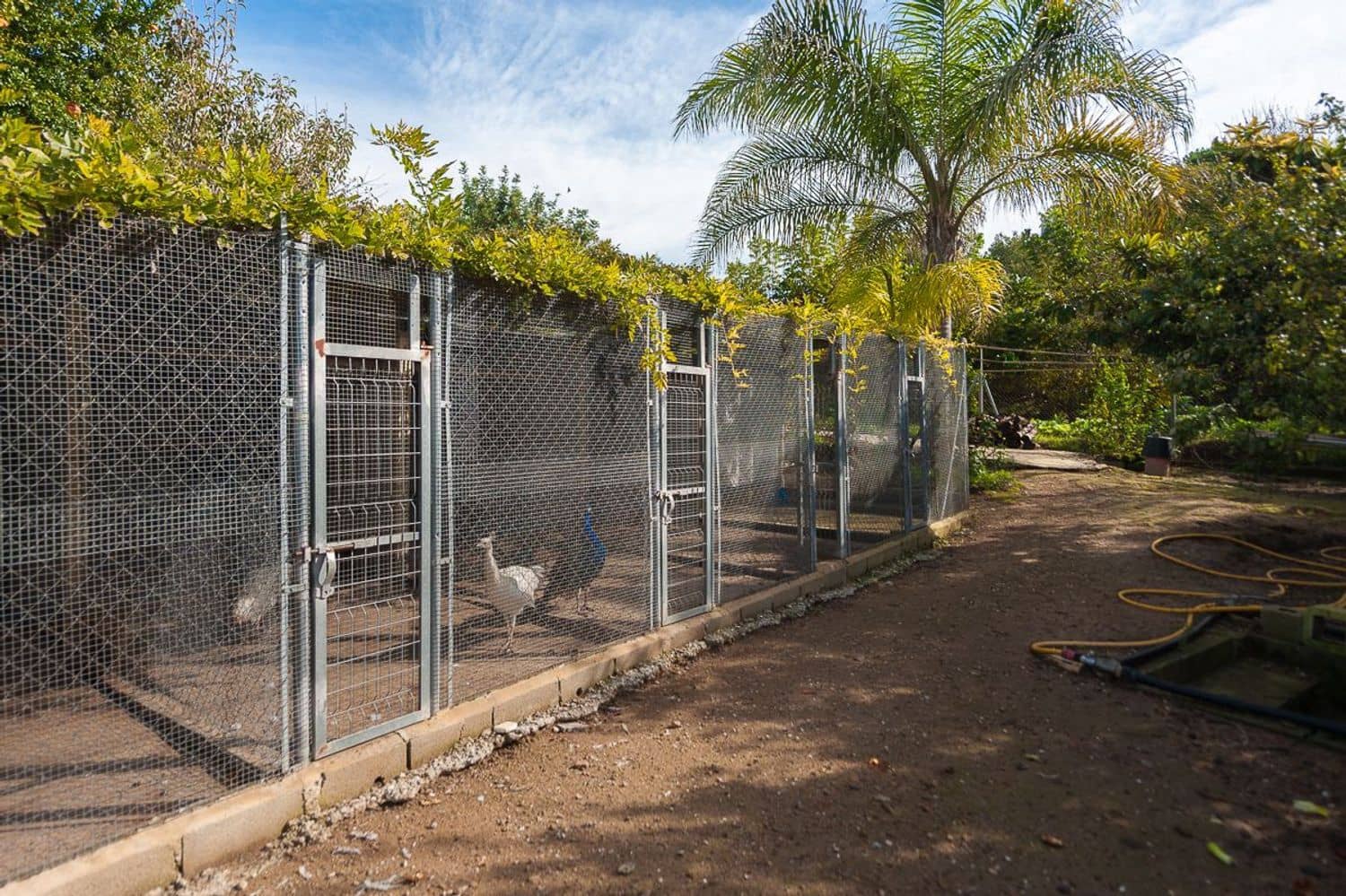 4 sypialnia Finka/Dom wiejski na sprzedaż w Coin z basenem garażem - 697 000 € (Ref: 5879845)