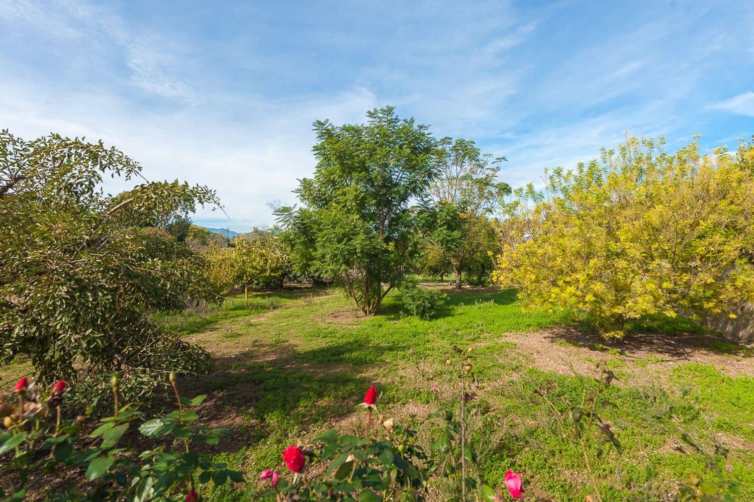 4 sypialnia Finka/Dom wiejski na sprzedaż w Coin z basenem garażem - 697 000 € (Ref: 5879845)