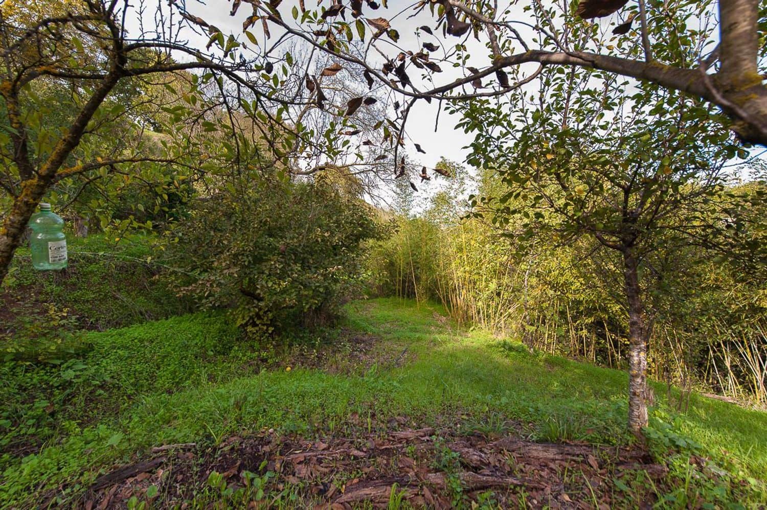 4 sypialnia Finka/Dom wiejski na sprzedaż w Coin z basenem garażem - 697 000 € (Ref: 5879845)