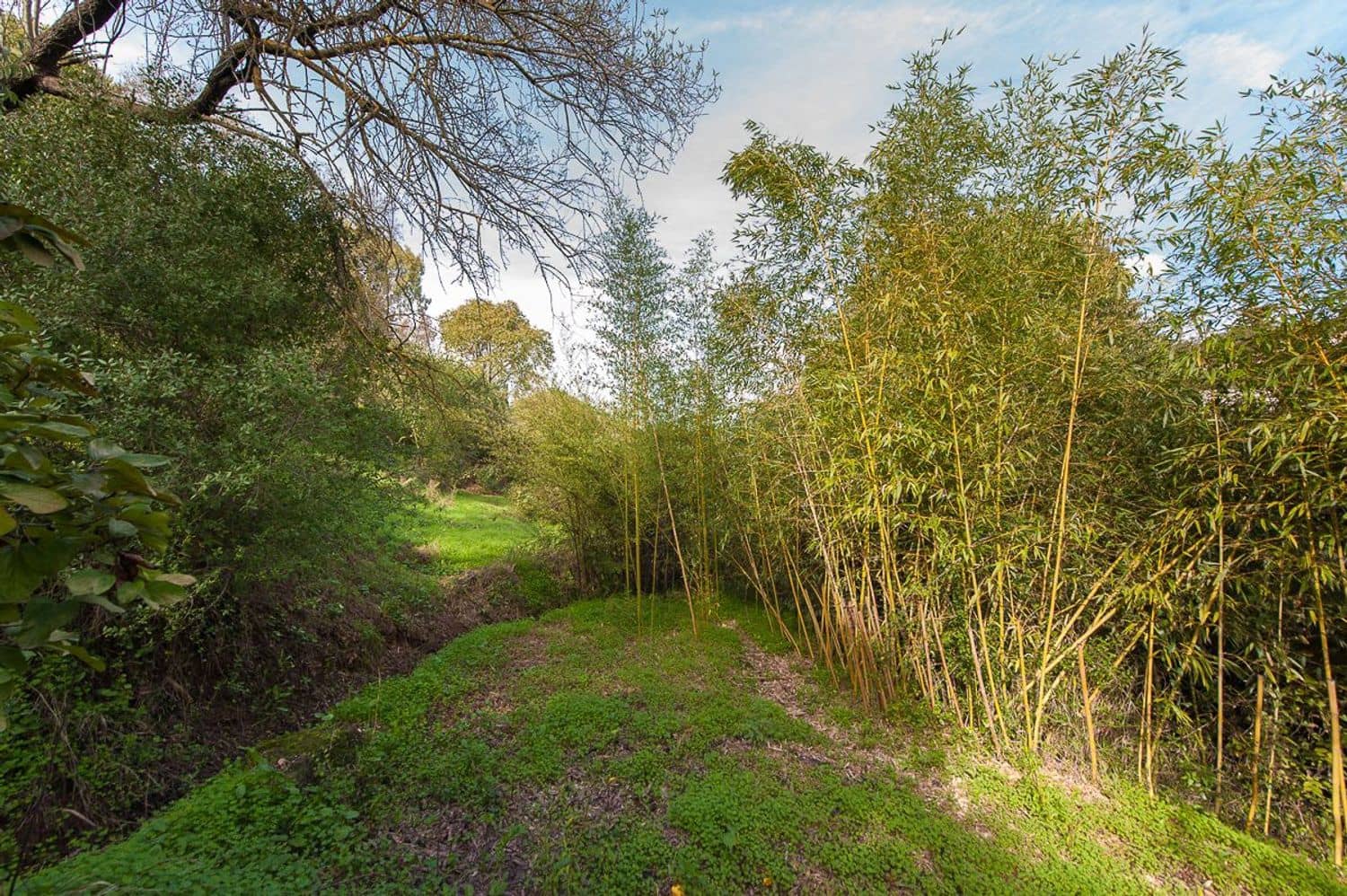 4 sypialnia Finka/Dom wiejski na sprzedaż w Coin z basenem garażem - 697 000 € (Ref: 5879845)