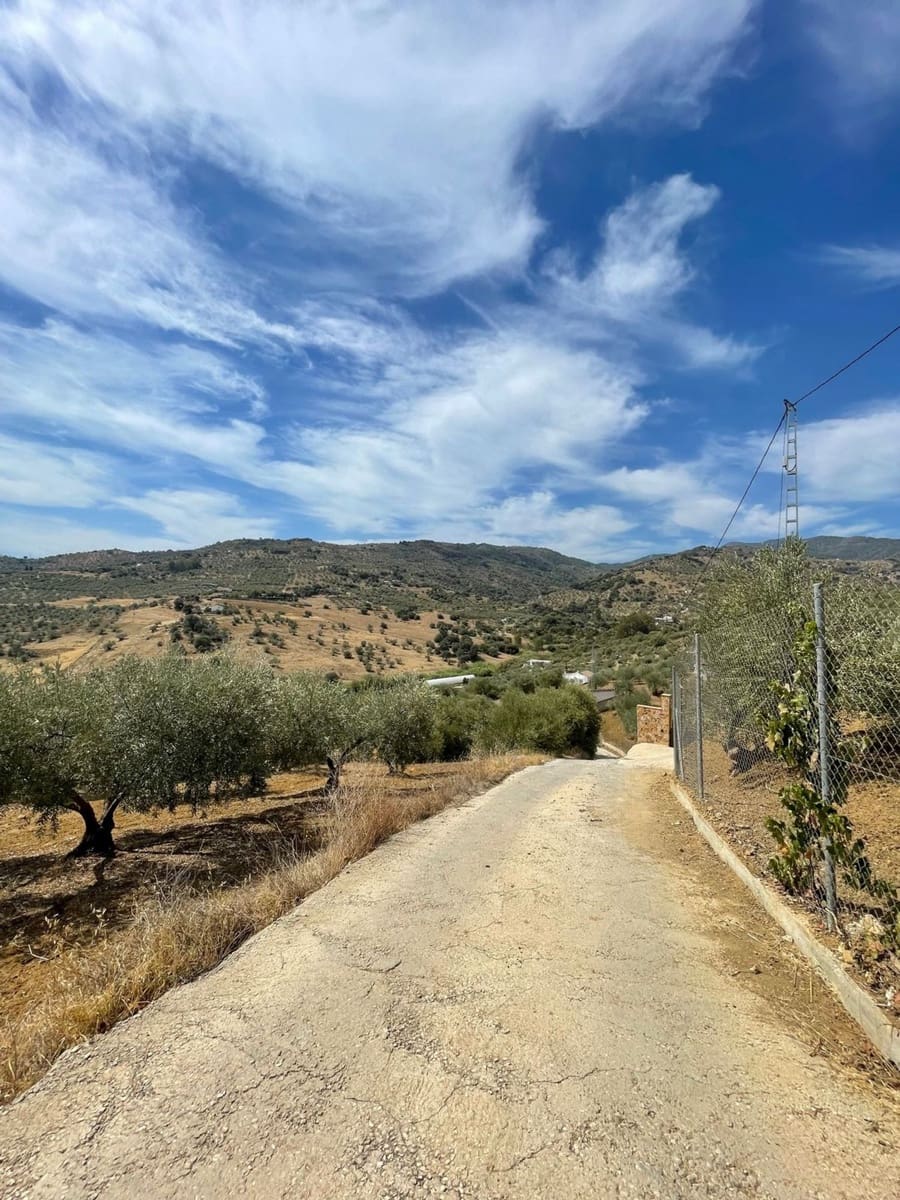 Mark till salu i Guaro - 53 100 € (Ref: 7740079)