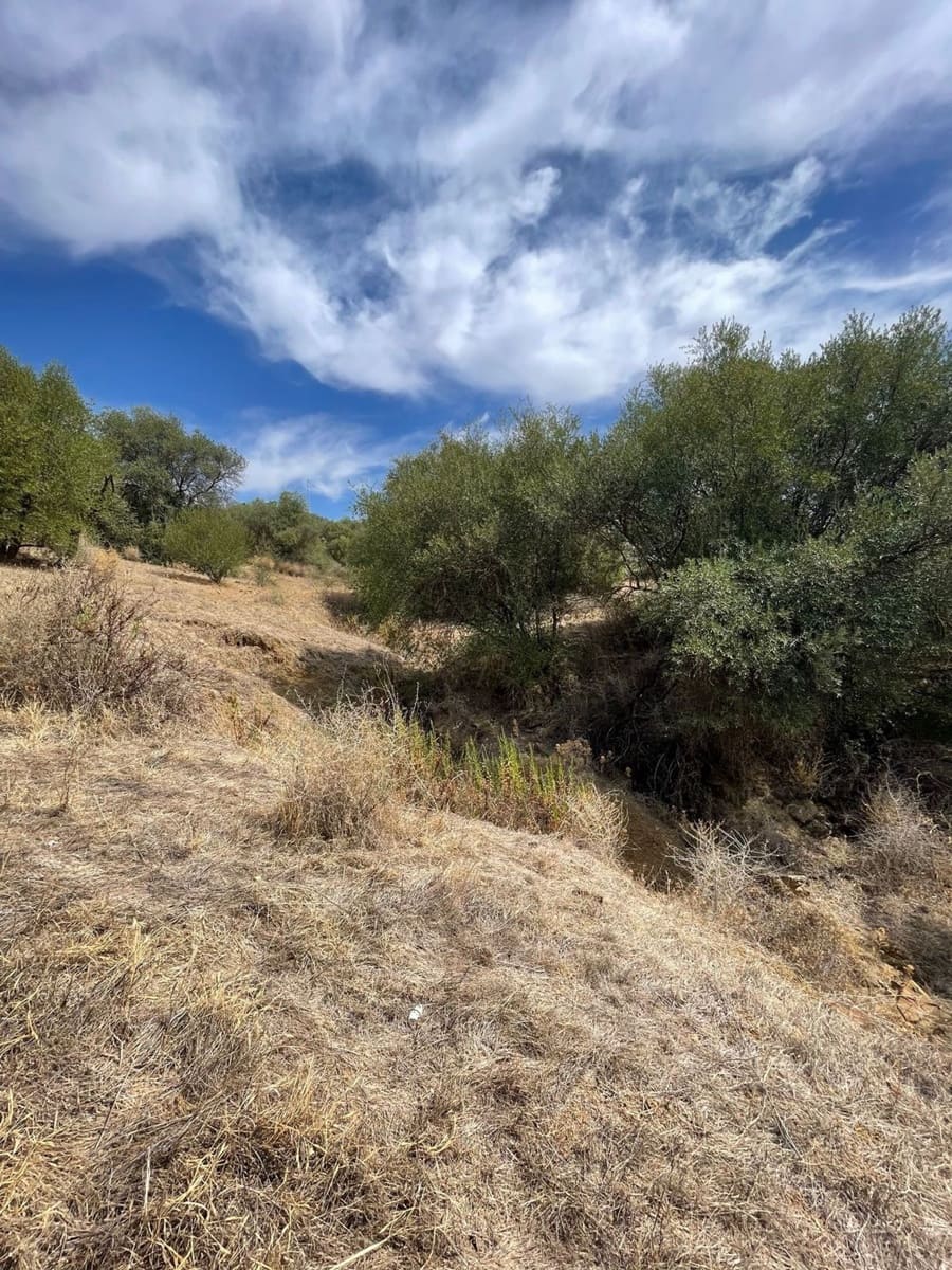 Mark till salu i Guaro - 53 100 € (Ref: 7740079)