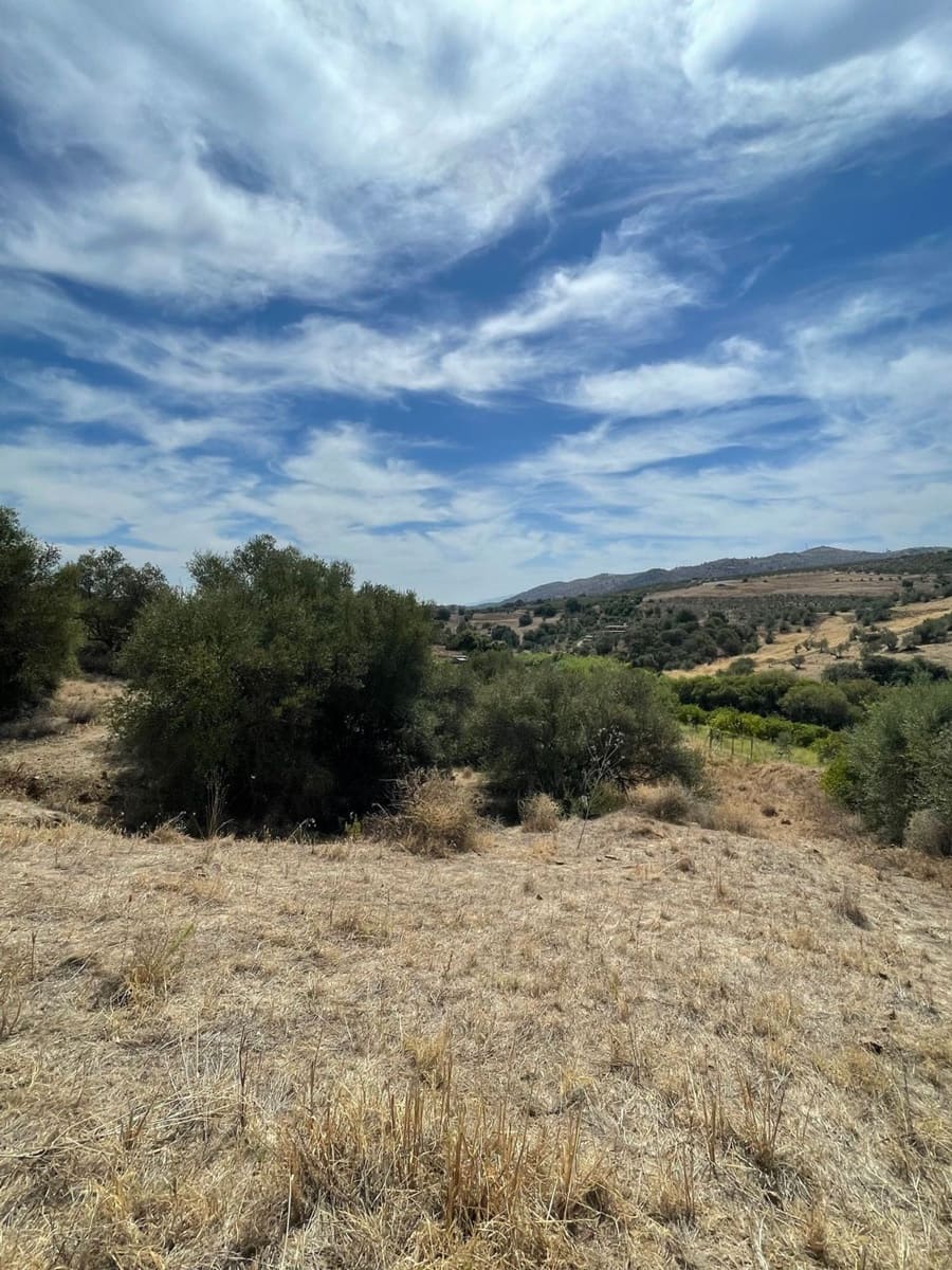 Mark till salu i Guaro - 53 100 € (Ref: 7740079)