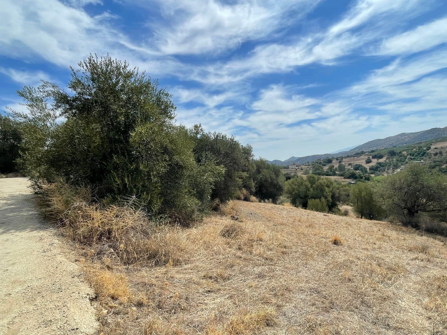 Mark till salu i Guaro - 53 100 € (Ref: 7740079)