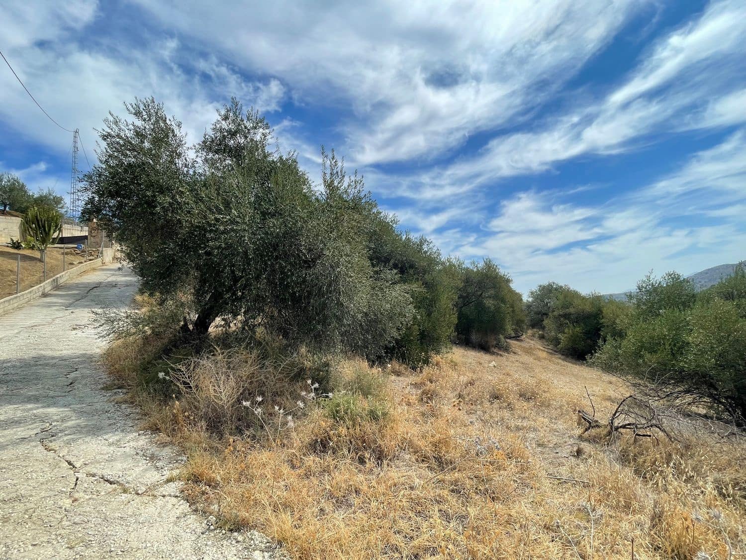 Mark till salu i Guaro - 53 100 € (Ref: 7740079)