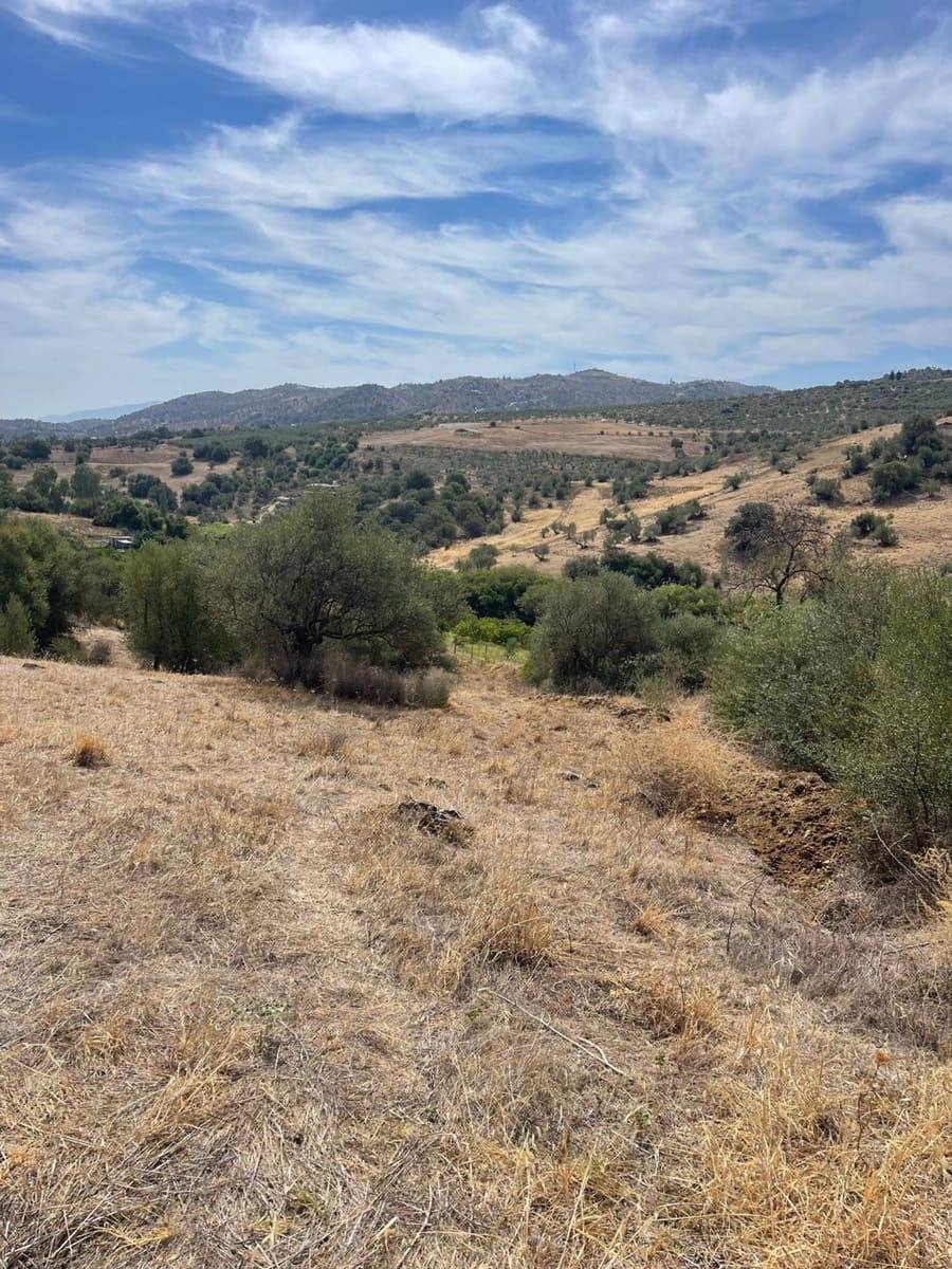 Mark till salu i Guaro - 53 100 € (Ref: 7740079)