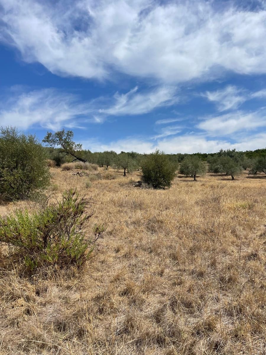 Mark till salu i Guaro - 53 100 € (Ref: 7740079)