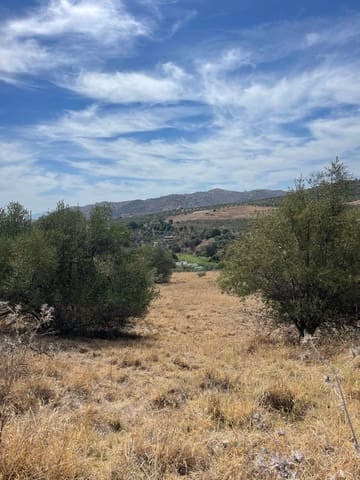 Undeveloped Land for sale in Guaro - € 53,100 (Ref: 7740079)