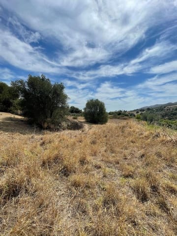 Undeveloped Land for sale in Guaro - € 53,100 (Ref: 7740079)