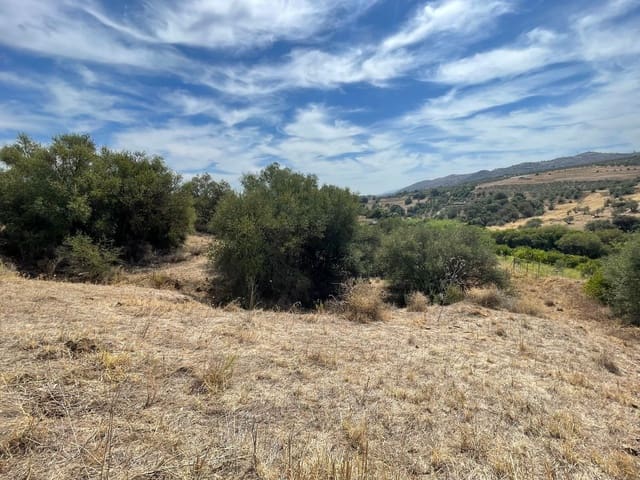 Undeveloped Land for sale in Guaro - € 53,100 (Ref: 7740079)