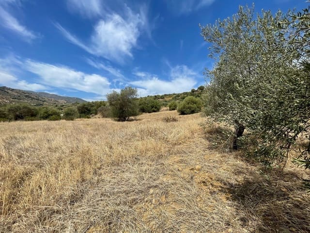 Undeveloped Land for sale in Guaro - € 53,100 (Ref: 7740079)