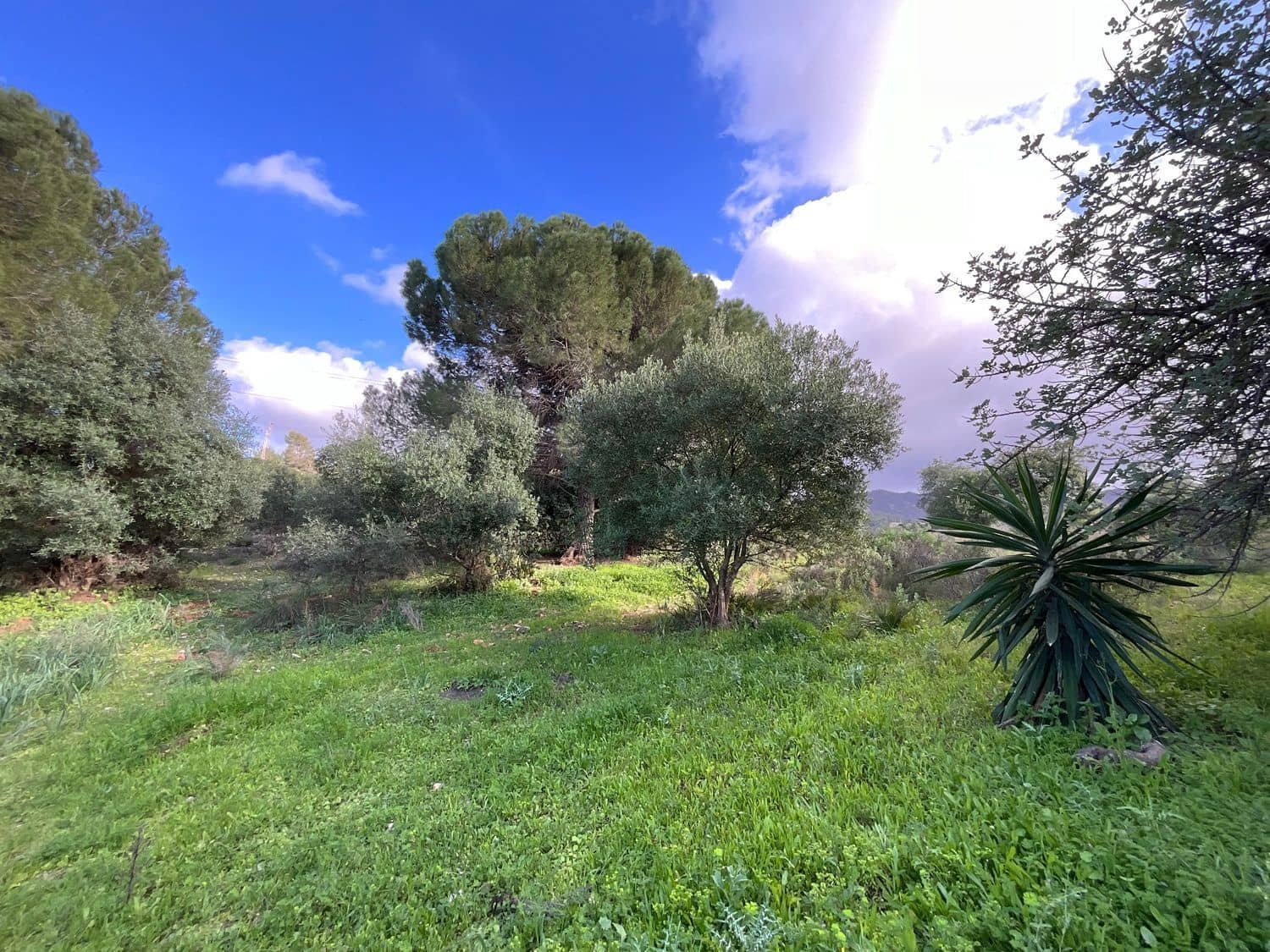 6 quarto Moradia para venda em Pinos de Alhaurin com piscina garagem - 440 000 € (Ref: 7772763)