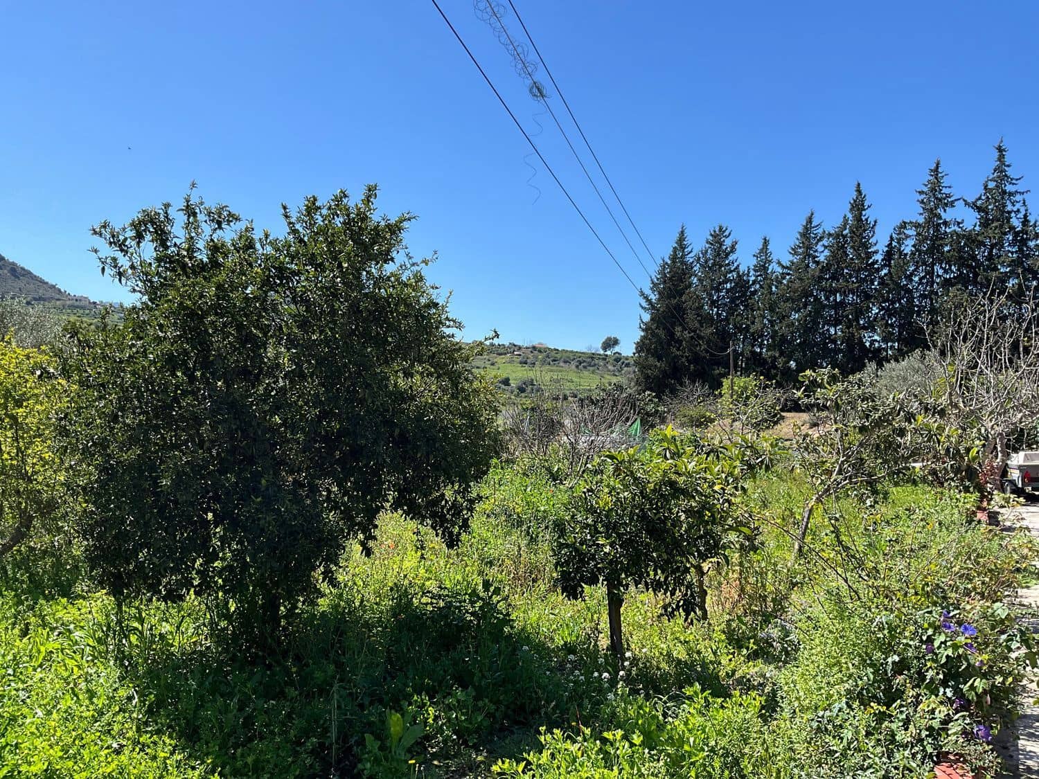 3 sypialnia Finka/Dom wiejski na sprzedaż w Cartama z garażem - 350 000 € (Ref: 7876017)