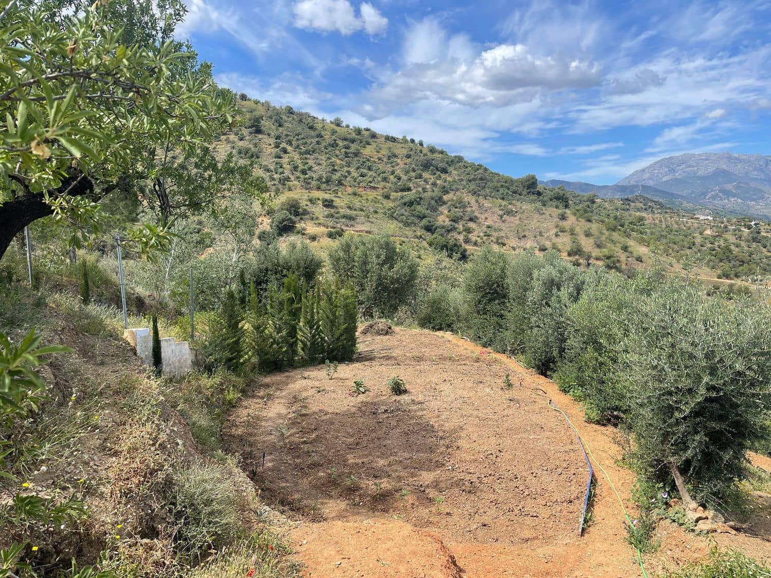 Ubebygd land til salgs i Guaro - € 55 000 (Ref: 8322467)