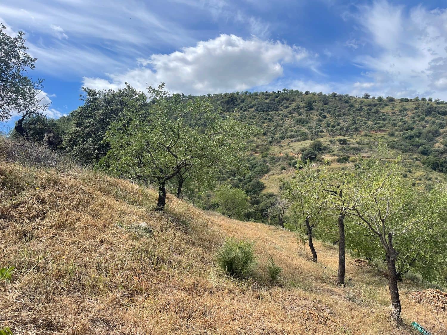 Ubebygd land til salgs i Guaro - € 55 000 (Ref: 8322467)