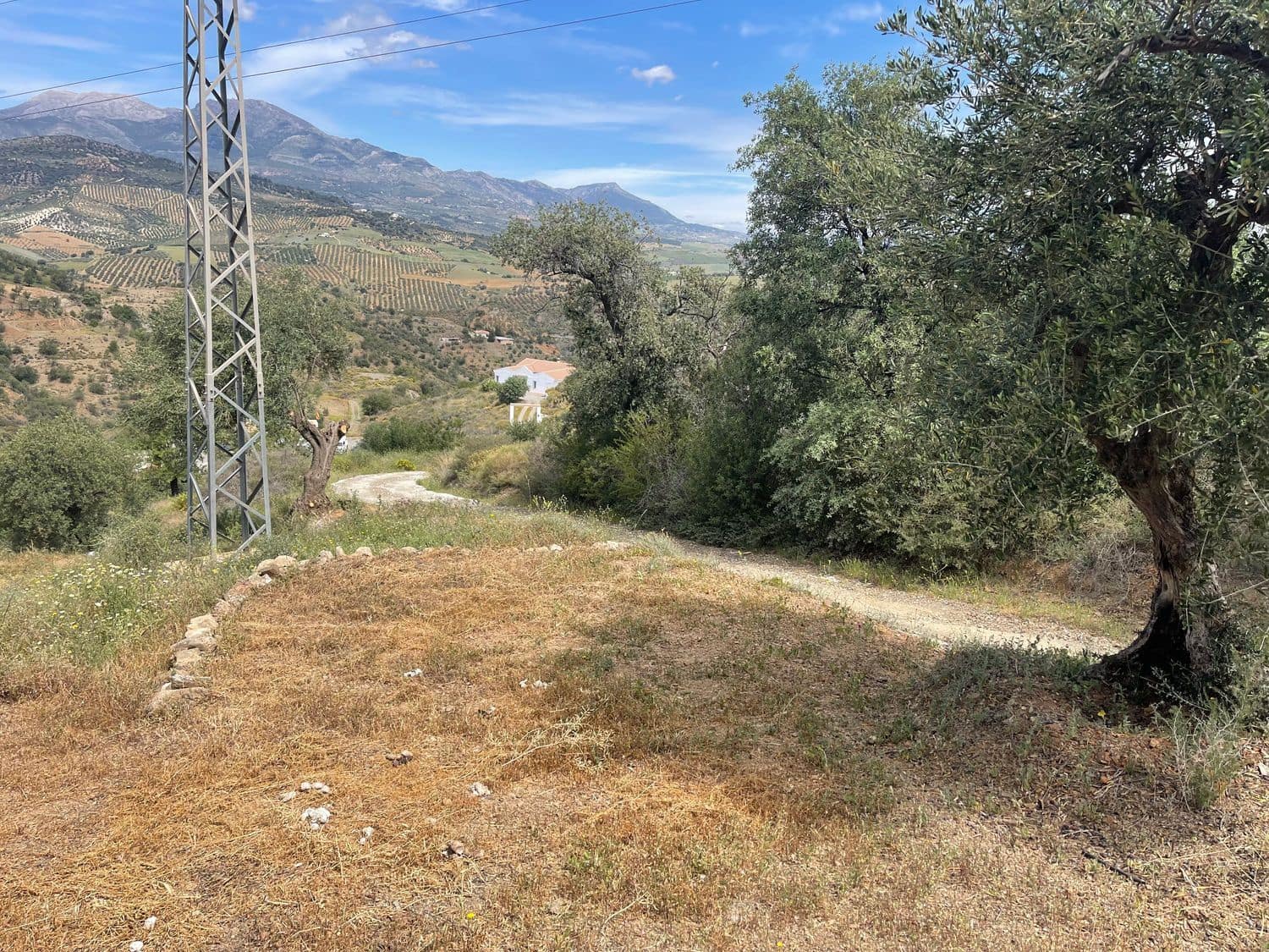 Ubebygd land til salgs i Guaro - € 55 000 (Ref: 8322467)