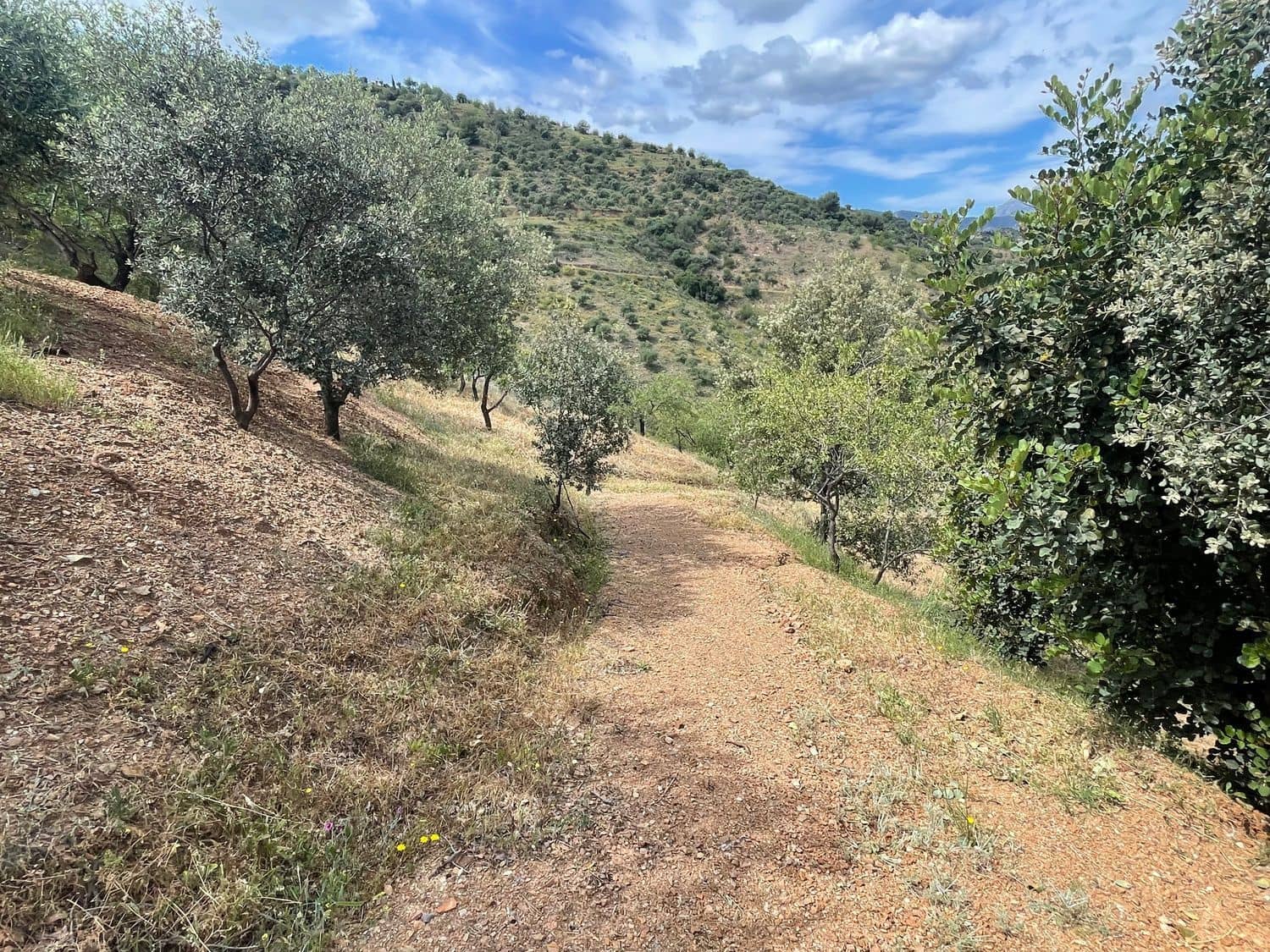 Ubebygd land til salgs i Guaro - € 55 000 (Ref: 8322467)