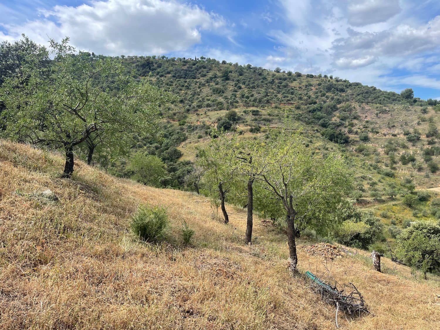 Ubebygd land til salgs i Guaro - € 55 000 (Ref: 8322467)