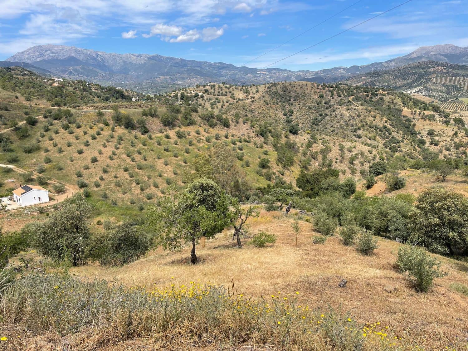 Ubebygd land til salgs i Guaro - € 55 000 (Ref: 8322467)