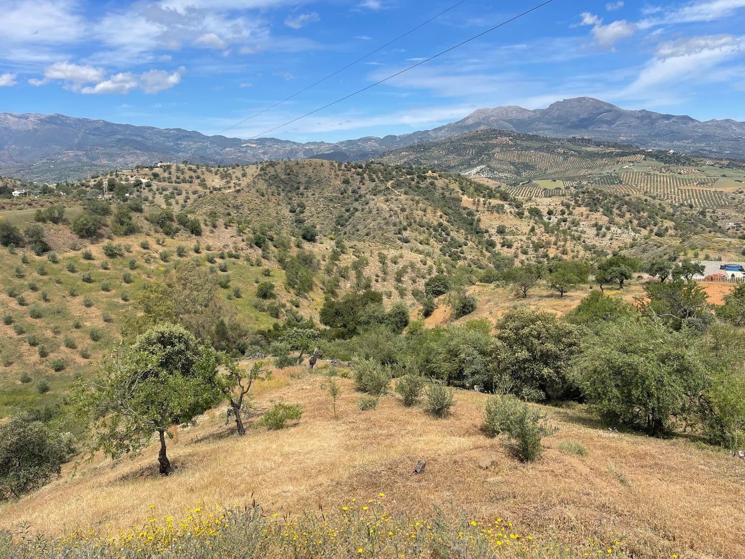 Ubebygd land til salgs i Guaro - € 55 000 (Ref: 8322467)