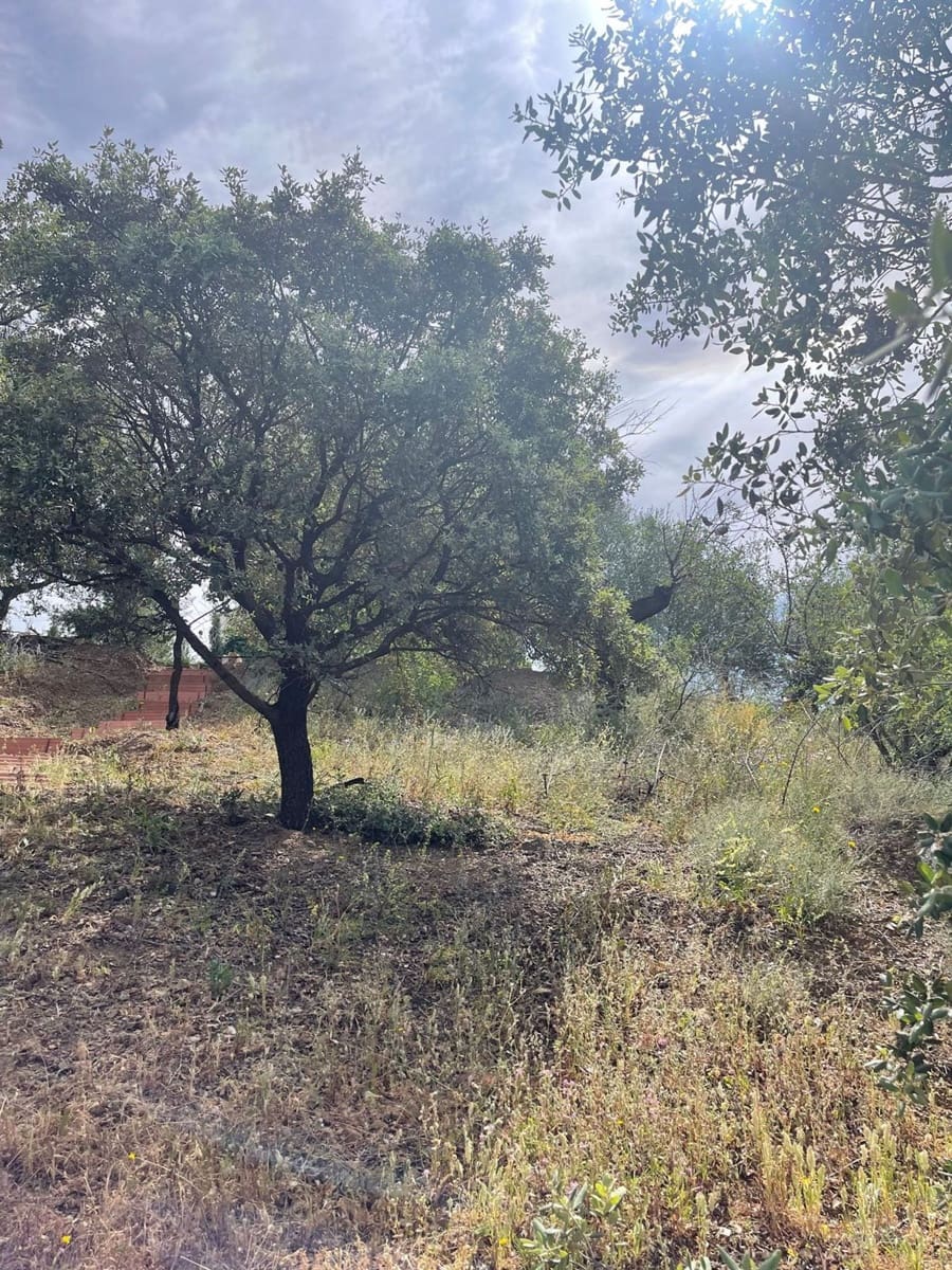 Ubebygd land til salgs i Guaro - € 55 000 (Ref: 8322467)