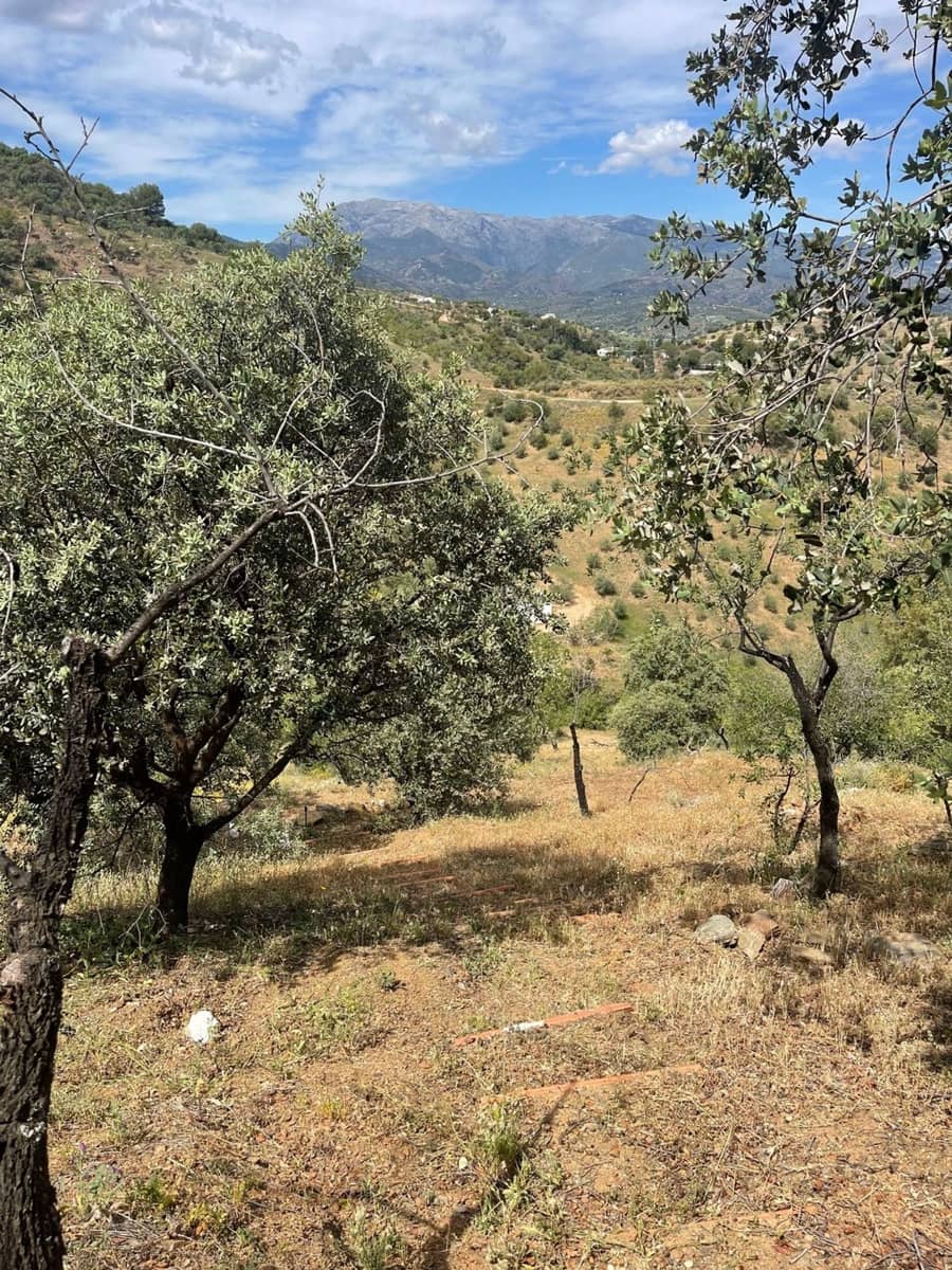 Ubebygd land til salgs i Guaro - € 55 000 (Ref: 8322467)