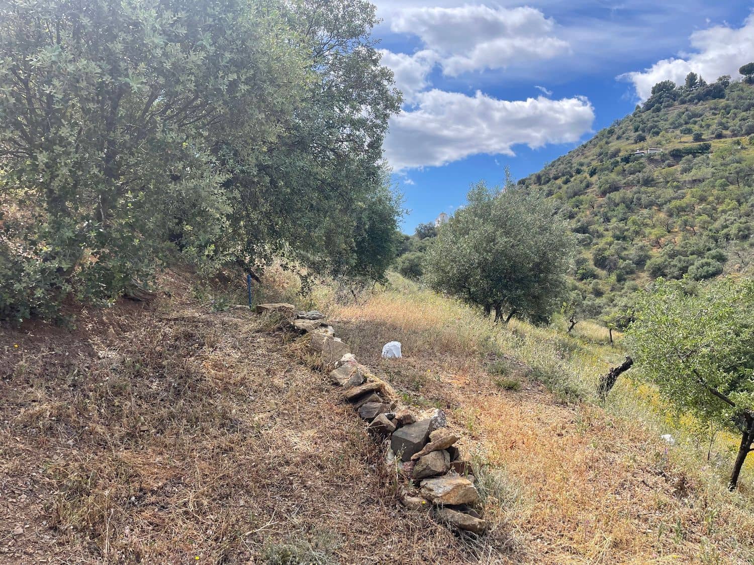 Ubebygd land til salgs i Guaro - € 55 000 (Ref: 8322467)