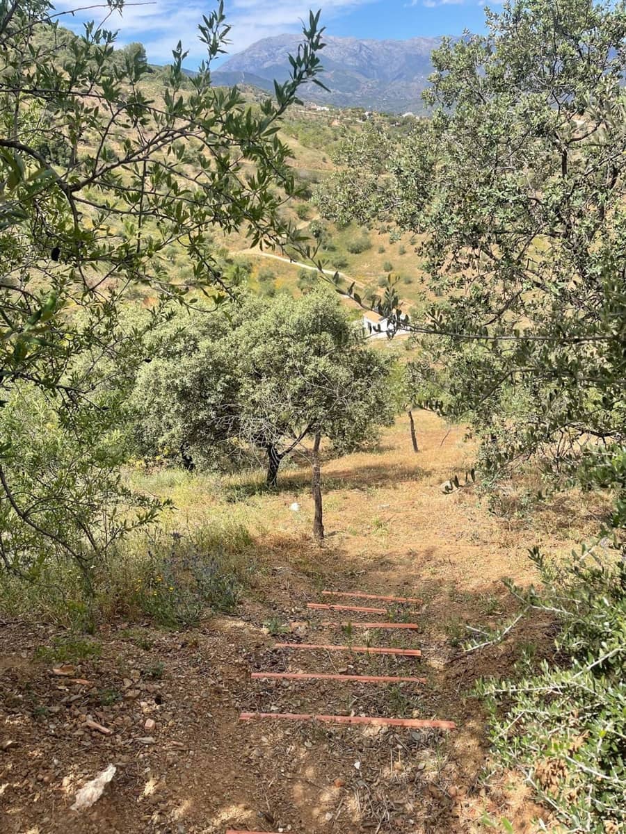 Ubebygd land til salgs i Guaro - € 55 000 (Ref: 8322467)