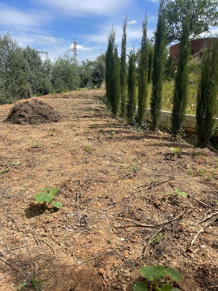 Ubebygd land til salgs i Guaro - € 55 000 (Ref: 8322467)