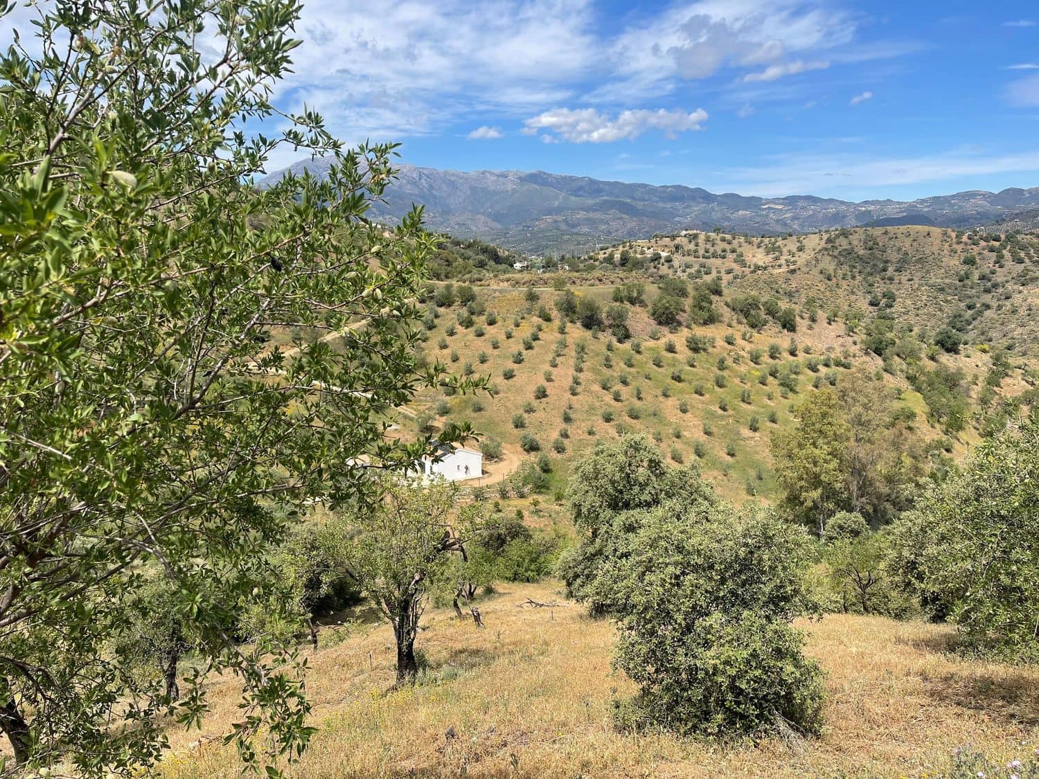 Ubebygd land til salgs i Guaro - € 55 000 (Ref: 8322467)