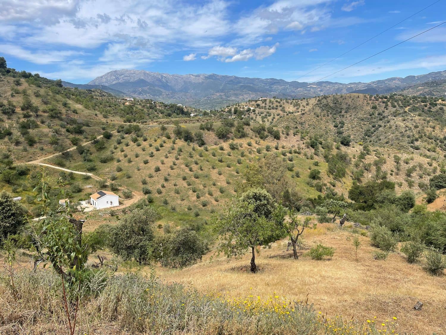 Ubebygd land til salgs i Guaro - € 55 000 (Ref: 8322467)