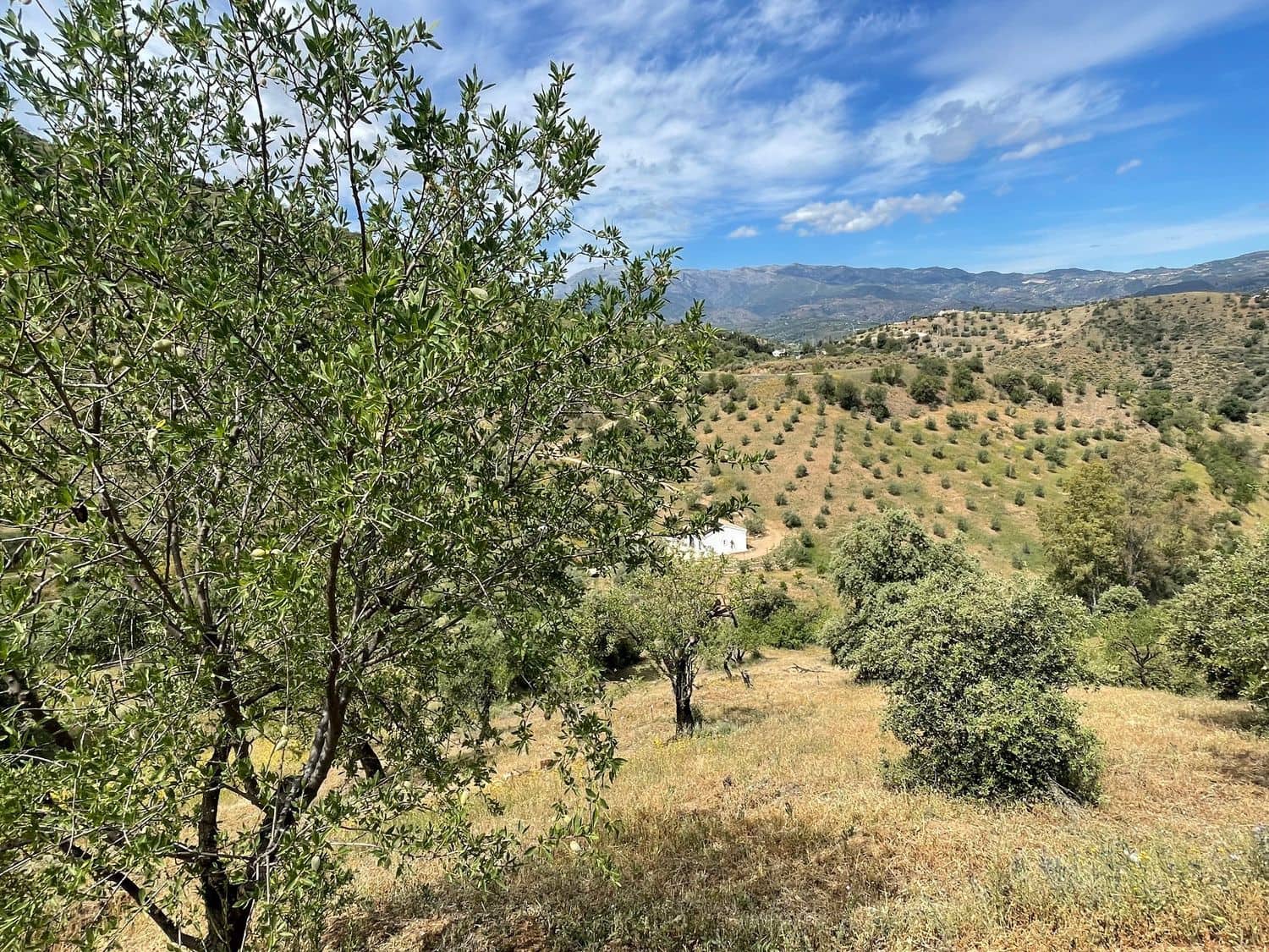 Ubebygd land til salgs i Guaro - € 55 000 (Ref: 8322467)