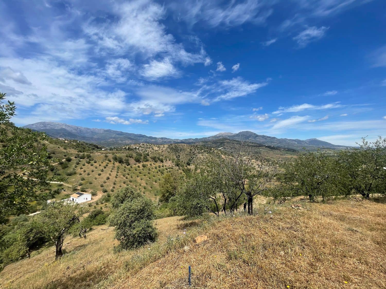 Ubebygd land til salgs i Guaro - € 55 000 (Ref: 8322467)