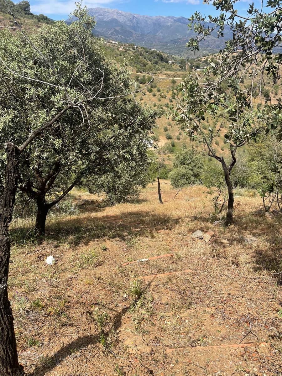 Ubebygd land til salgs i Guaro - € 55 000 (Ref: 8322467)