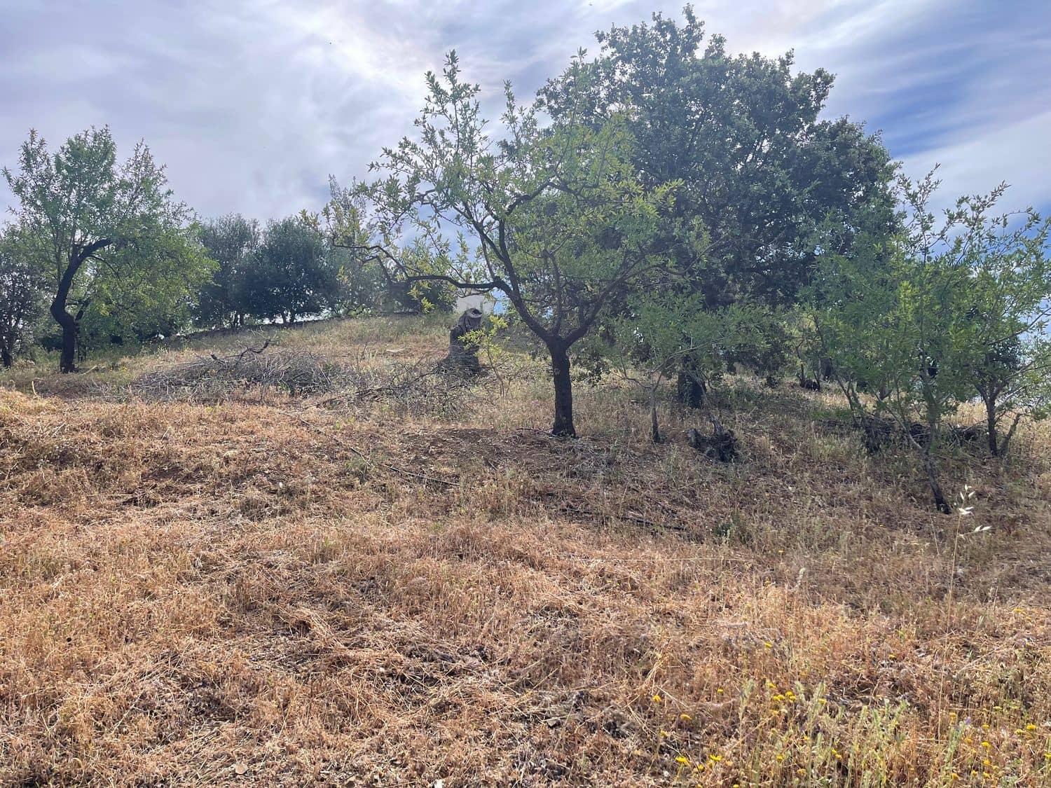 Ubebygd land til salgs i Guaro - € 55 000 (Ref: 8322467)