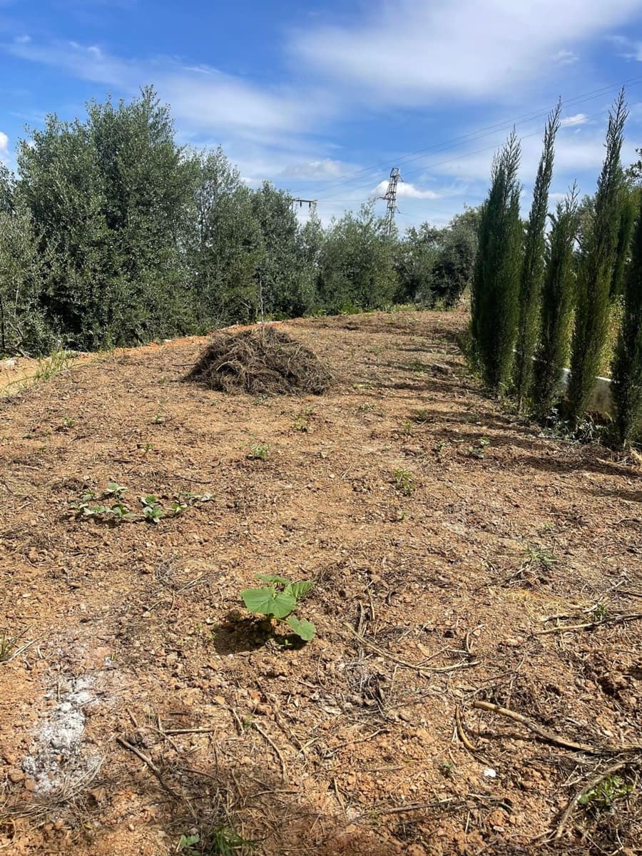 Ubebygd land til salgs i Guaro - € 55 000 (Ref: 8322467)